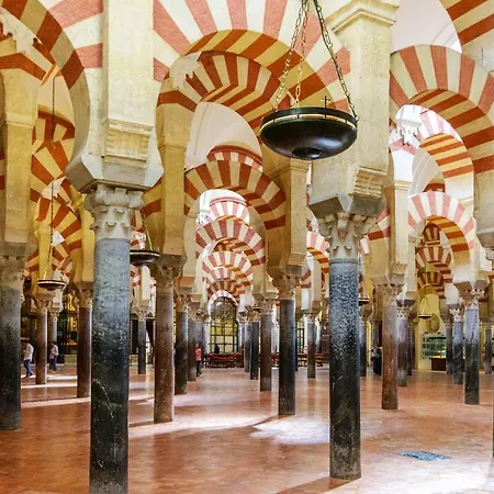 El Olivo Lägenhet Córdoba